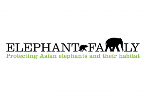AB-Conservation-Elephant-Family